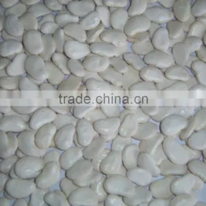 Lima Beans From Peru thumbnail-2