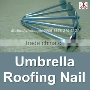 China 1 Lb. Electro Galvanized Roof Nail thumbnail-5