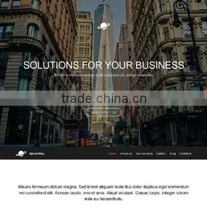 Professional CMS Web Design thumbnail-2