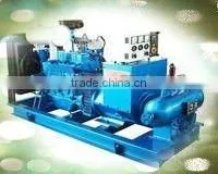 Easy Maintainence Water Diesel Generator thumbnail-1