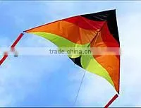 3m Delta Kite thumbnail-1