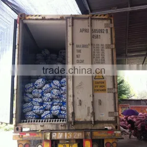 China Red Garlic Price Store Garlic thumbnail-6