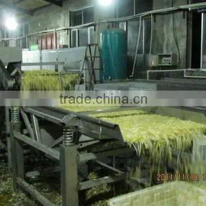 Hydroponic Fodder Machine thumbnail-4
