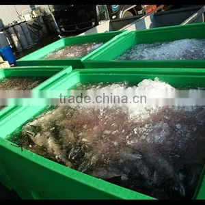 Ningbo 450L Rotomolding Seafood Processing Box thumbnail-3