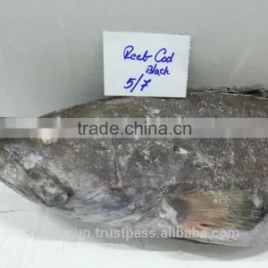 Grouper Whole Round thumbnail-2