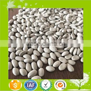 Moisturer Absorbent Masterbatch/Desiccant Masterbatch for Recycled Material/Manufacturer thumbnail-4
