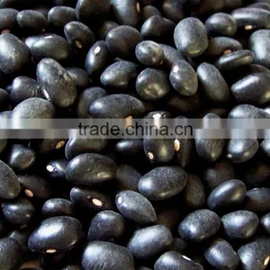 Supply Black Beans With Best Price and Good Quality for Sale thumbnail-2