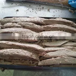 2016 Latest Fresh Bonito Loins High Quality From China thumbnail-4