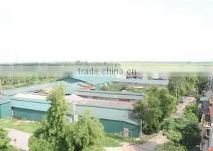 Long Luu Produce And Trading Company Limited company overview - view 3 thumbnail