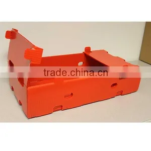 Factory Price Durable Foldable Corrugated Plastic Boxes For Fruits thumbnail-3
