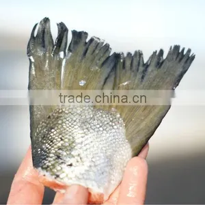 Salmon Tails thumbnail-1