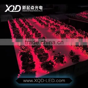 12MM WS 2811 Led Pixel Light for Christmas Use in Outdoor Waterproof IP68 DV5 thumbnail-4