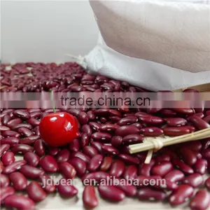 Dark Red Kidney Bean thumbnail-6