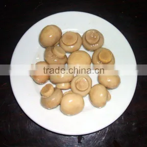 New Season Canned Whole Mushroom thumbnail-3