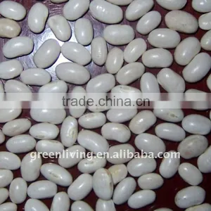 2011 Dried White Kidney Beans (380-400pcs/100g) thumbnail-1