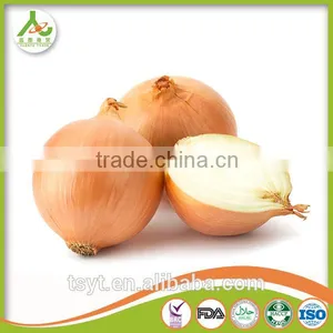 Fresh Yellow Small Onion in China thumbnail-1