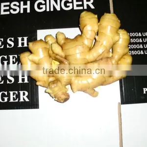 New Crop 2013 Fresh Ginger thumbnail-1