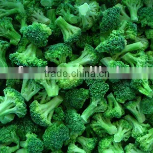 Frozen IQF Bulk Fresh Broccoli thumbnail-1
