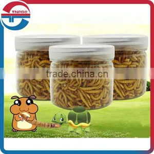 Freeze Dried Mealworms for Pet Food thumbnail-1