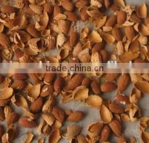 Good Performance Hazelnut Cracking Machine/hazelnut Shelling Machine/hazelnut Sheller thumbnail-4
