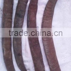 Buffalo Horn thumbnail-2