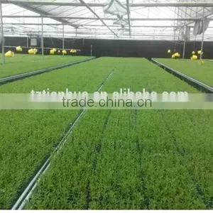 Latest Fashion Top Sell Competitive Price Nursery Seeding Tray thumbnail-2