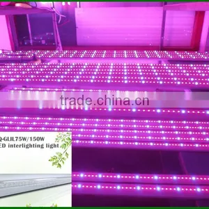 Led Side Lighting 75w Greenhouse Commercial Plants Led Grow up Lights thumbnail-2