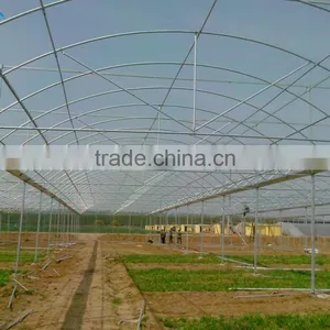 High Quality Commercial/agricultural Used Film Covering Greenhouse for Sale thumbnail-4