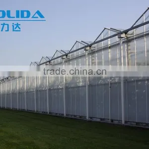 BaoLiDa High Quality PC Covered Greenhouse Hot-dip Galvanized Steel Framework Structure Greenhouse thumbnail-4