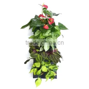 Decorative 4 Pocket Vertical Wall Planter thumbnail-1