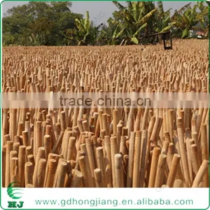 Nature Wooden Stake thumbnail-6
