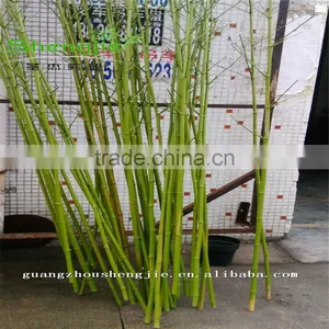 SJLJ013166 Artificial Plant / Fake Plastic Bamboo / Plastic Garden Fence for Home Garden Decoration thumbnail-5