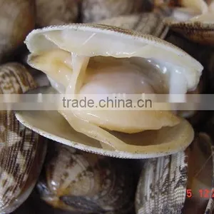 Seafood Frozen Canned Baby Clam thumbnail-1