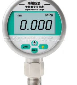 HCS-107 Digital Pressure Gauge thumbnail-1
