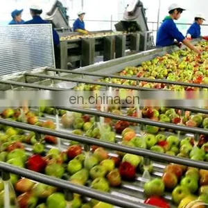 High Quality Fruit Juicer Machine/Commercial Juicer Machine/Fruit Juicer Production Line thumbnail-4