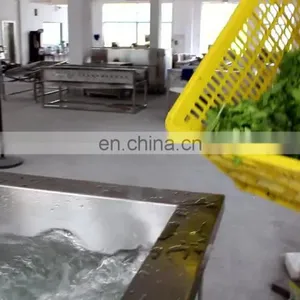 Industrial Automatic Salad Ozone Vegetable Washing Machine Cabbage Washer thumbnail-1