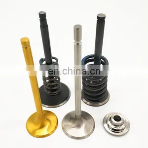 High Custom Quality Selling Intake Exhaust Engine Valve Guide For Mitsubishi L200 L300 4D55 4D55T 4D56 4D56T MD083662 MD083657 thumbnail-7
