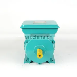 YL Sery Single Phase Magnetic Motor Sale thumbnail-6