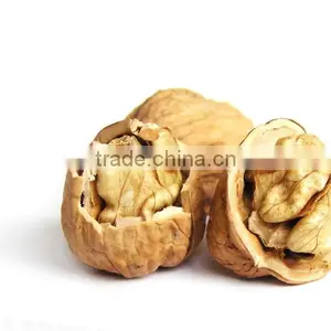 Best Quality and Delicious Natural Walnut Kernel thumbnail-1