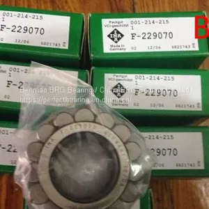 INA CPM2529 Bearing F-57063 F-202168 Cylindrical Roller Bearings INA/SKF/FAG From Benmao BRG Bearing thumbnail-1