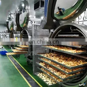 Industry Fruit and Vegetable Food Lyophilizer Machine Price thumbnail-4