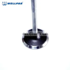 Factory Price 7700107489 / 7701471378 / 7701472124 Engine Valve for RENAULT thumbnail-1