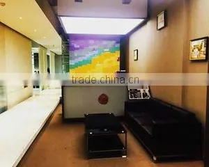 Guangdong Younghead Electronic Technology Co., Ltd. company overview - view 2 thumbnail