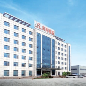 Shandong Backace Machinery Co., Ltd. company overview - view 1 thumbnail
