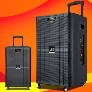 12-inch Outdoor Party Subwoofer With Bluetooth thumbnail-1
