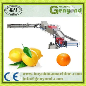 Orange/lemon Fruit Washing Waxing Drying Sorting Machinery/production Line thumbnail-2