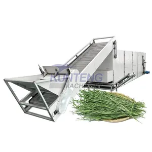 Automation Heat Pump Hemp Drying Machine Plantain Herb Dandelion Hops Elephant Grass Dehydrator Machine EPC thumbnail-1