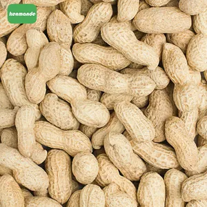 Food Manufacturing Practical Roasting Grade Whole Groundnuts 9/11 for Export Trading thumbnail-5