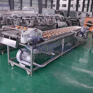 Automatic Melon Raisins Potatoes Bitter Leaf Vegetable Squash Peanut Washing Drying Machine Fruit Vegetable Cleaning Machine EPC thumbnail-3
