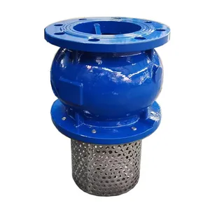 Factory Direct Sales of High-quality Flange Type Bottom Valve With Filter Screen thumbnail-4